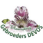 Logo Bloemisterij Gebroeders Devos, Tervuren