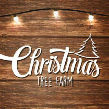 Logo Christmas Tree Farm, Runkelen
