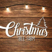 Logo Kerstbomen - Christmas Tree Farm, Runkelen (Sint-Truiden)